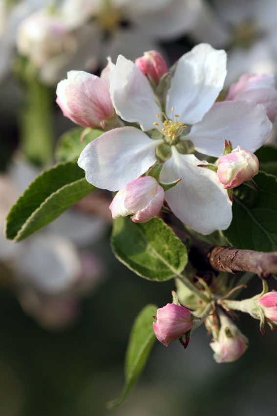 Psykoterapi&Handledning